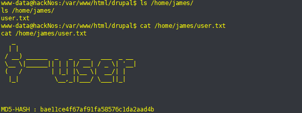 image-20241003115551758